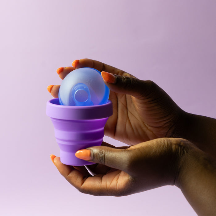     Bohokiwi menstrual disc being     Bohokiwi menstrual disc being placed into a purple collapsible steriliser cup